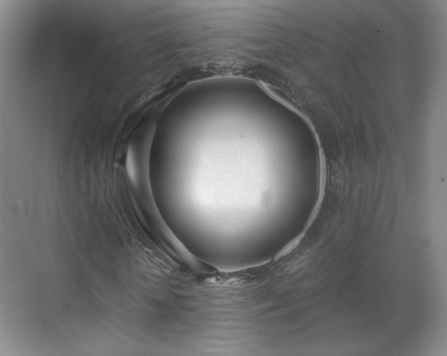 X0000071330818200606301558