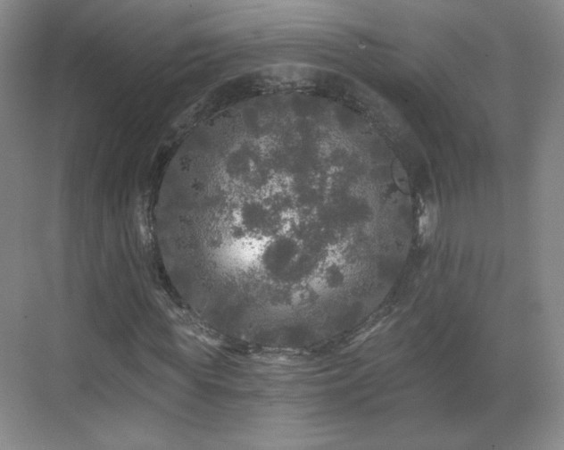 X0000071330819200606301558