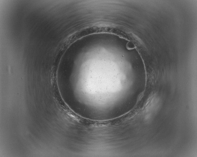 X0000071330821200606301558