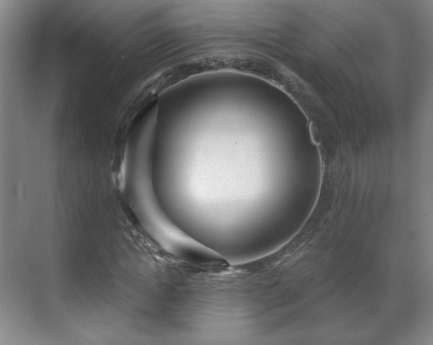 X0000071330822200606301558