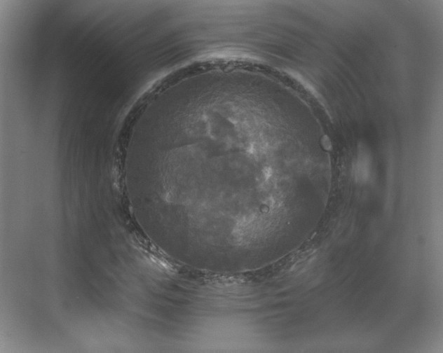 X0000071330823200606301558