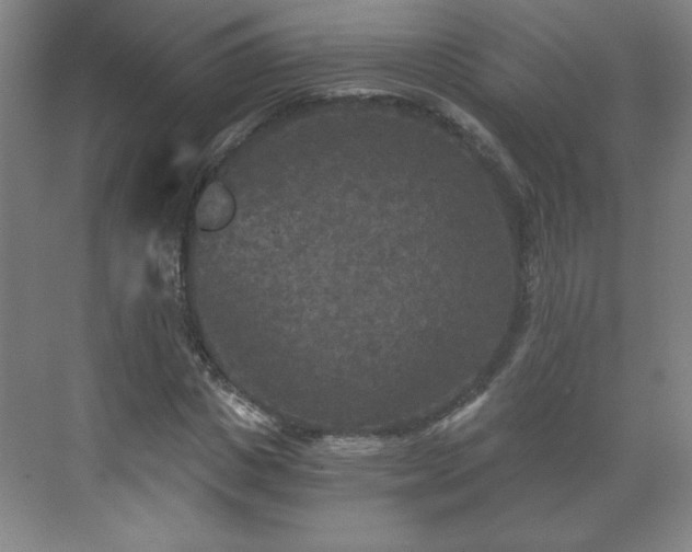 X0000071330825200606301558