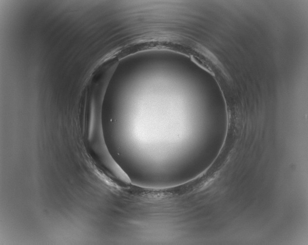 X0000071330826200606301558