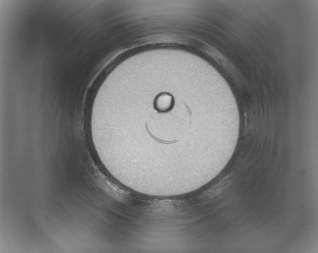 X0000071330828200606301558