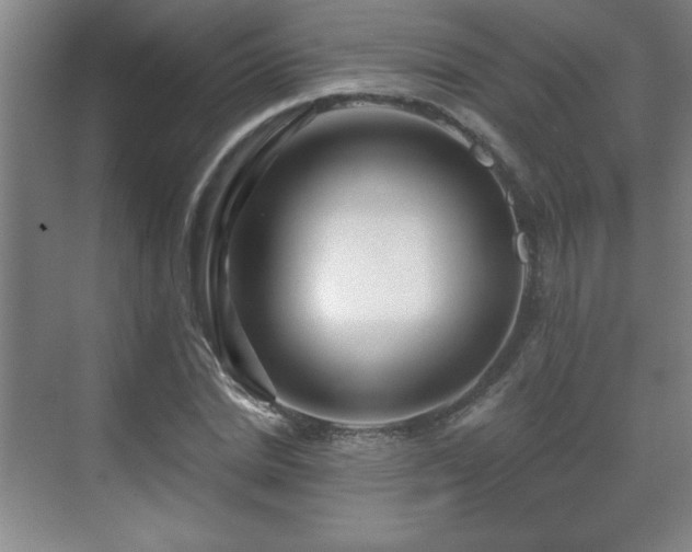 X0000071330830200606301558