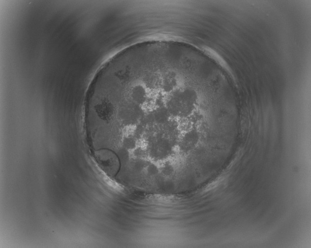 X0000071330831200606301558