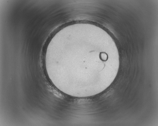 X0000071330832200606301558