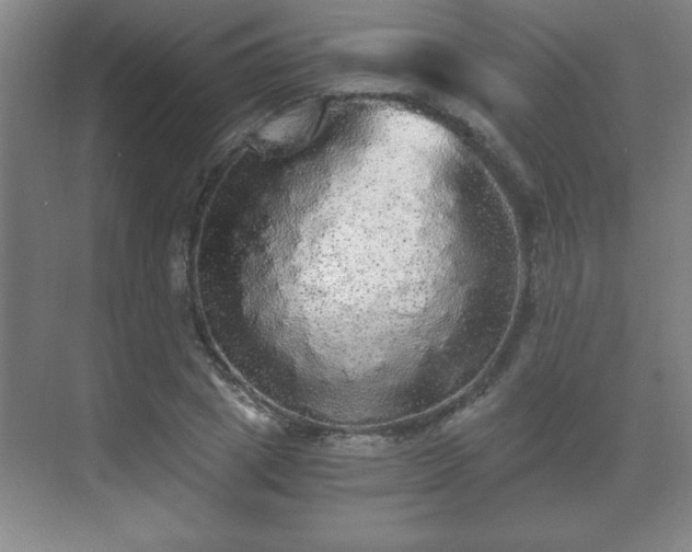 X0000071330833200606301558