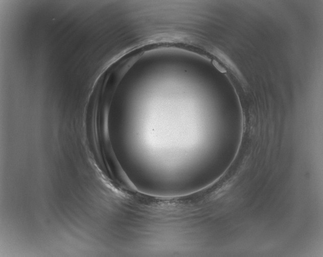 X0000071330834200606301558