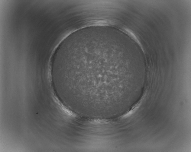 X0000071330835200606301558