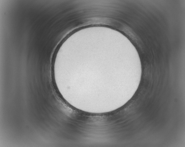 X0000071330836200606301558