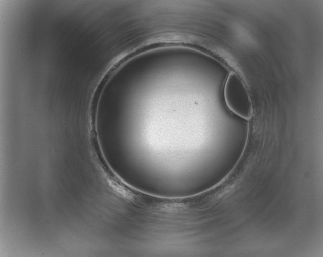 X0000071330837200606301558