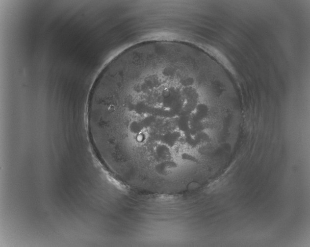 X0000071330839200606301558