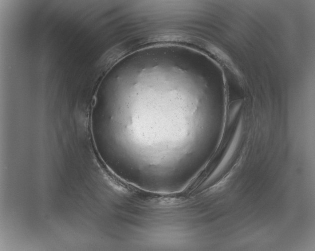 X0000071330841200606301558