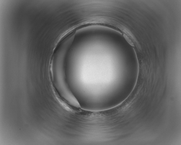 X0000071330842200606301558