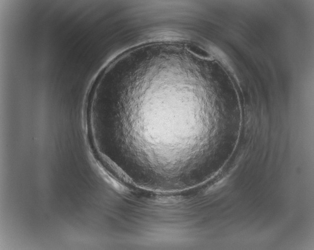 X0000071330843200606301558