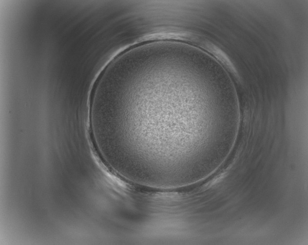 X0000071330844200606301558