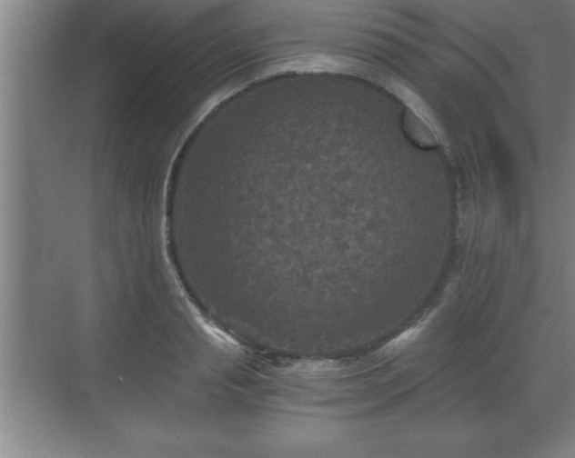 X0000071330845200606301558