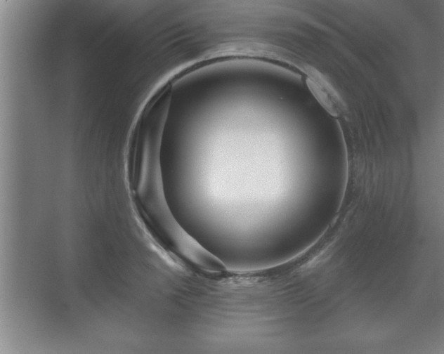 X0000071330846200606301558