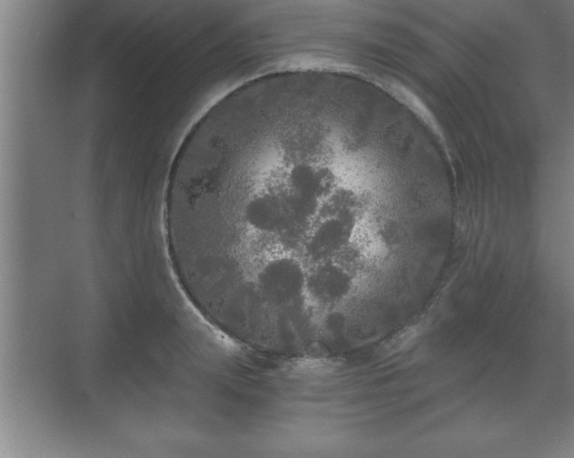 X0000071330847200606301558