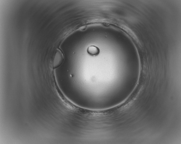 X0000071330849200606301559