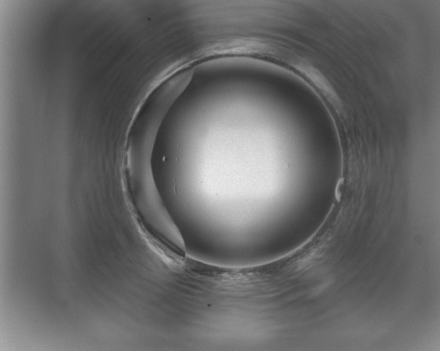 X0000071330850200606301559