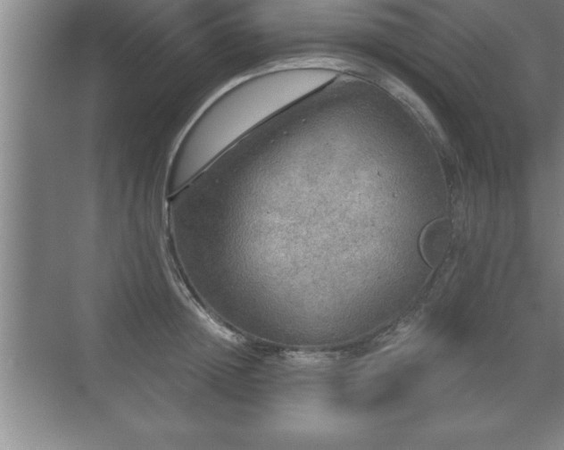 X0000071330852200606301559