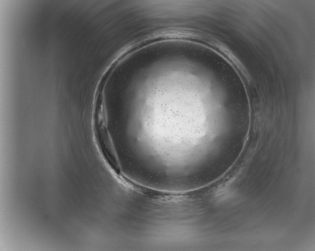 X0000071330853200606301559