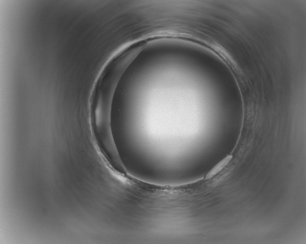 X0000071330854200606301559