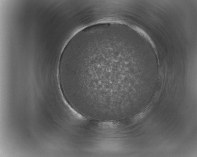 X0000071330855200606301559