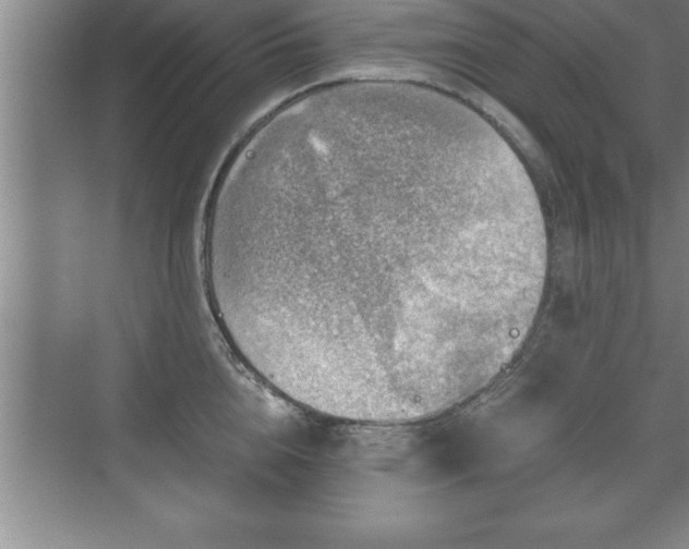 X0000071330856200606301559