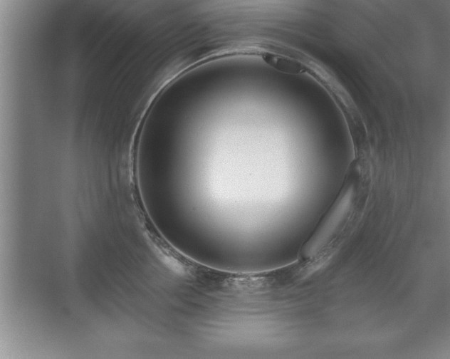 X0000071330858200606301559