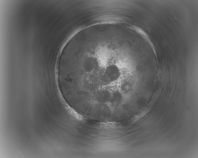 X0000071330859200606301559