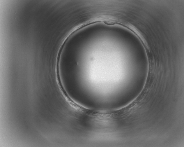 X0000071330861200606301559