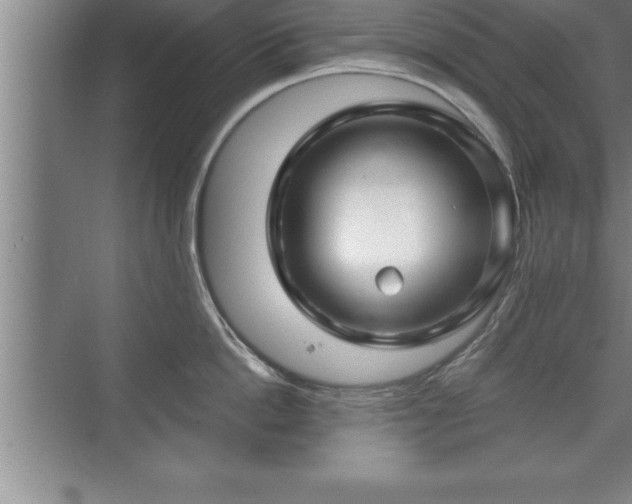 X0000071330862200606301559