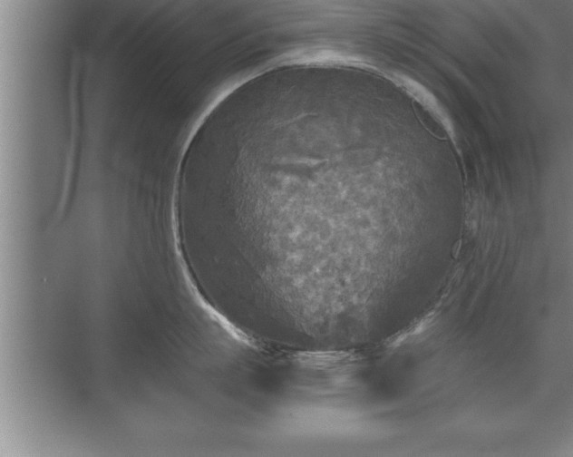 X0000071330863200606301559