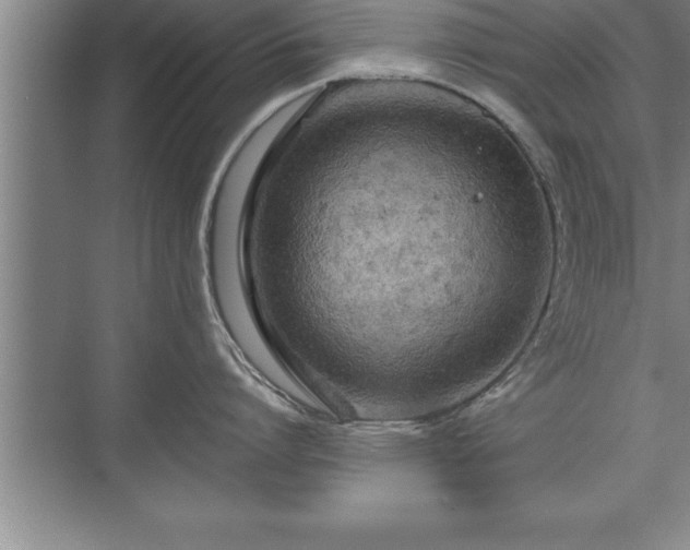 X0000071330864200606301559