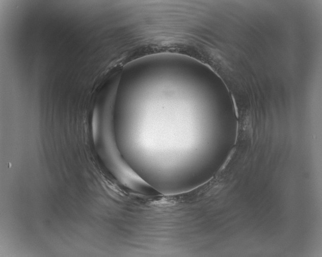 X0000071330868200606301558