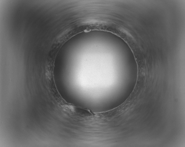 X0000071330869200606301558