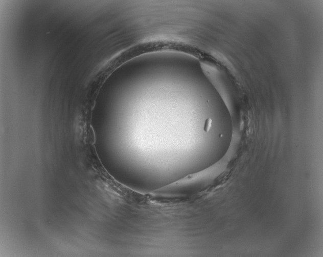 X0000071330872200606301558