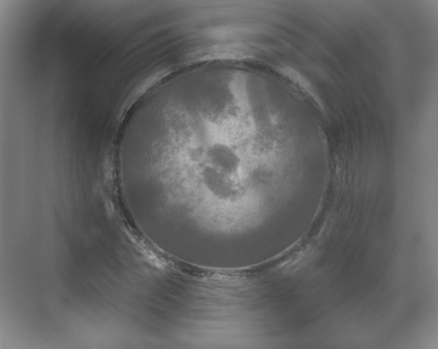 X0000071330874200606301558