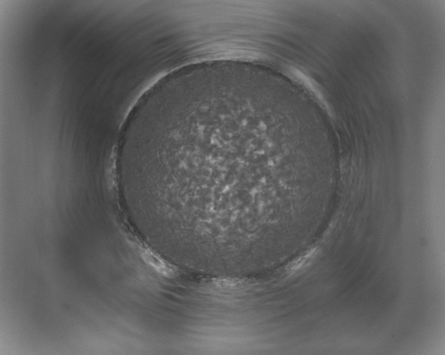 X0000071330875200606301558