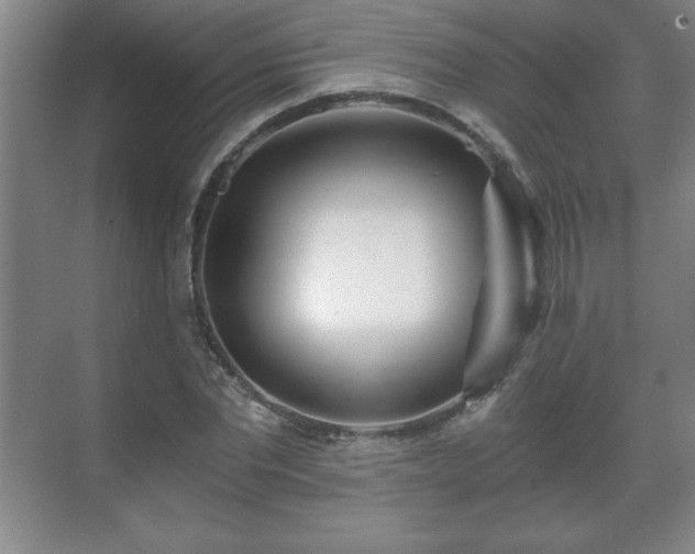 X0000071330877200606301558