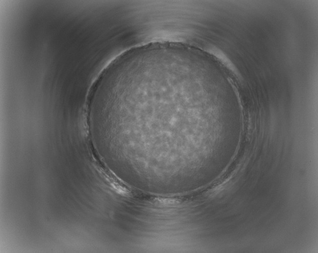 X0000071330878200606301558