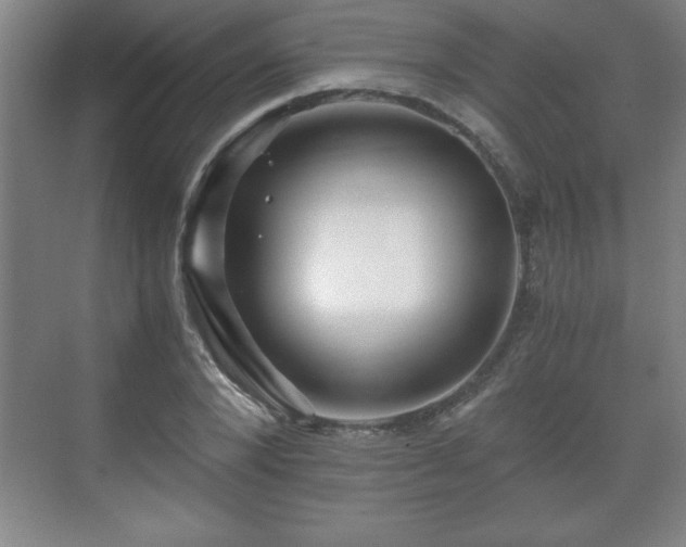 X0000071330880200606301558