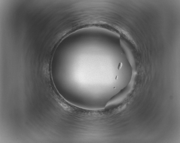 X0000071330881200606301558