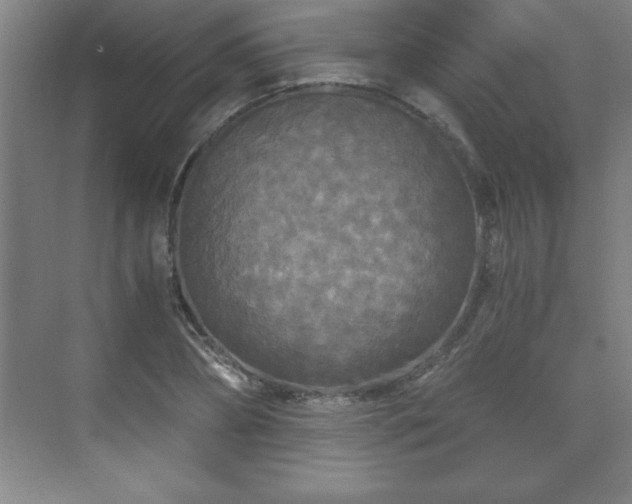 X0000071330882200606301558