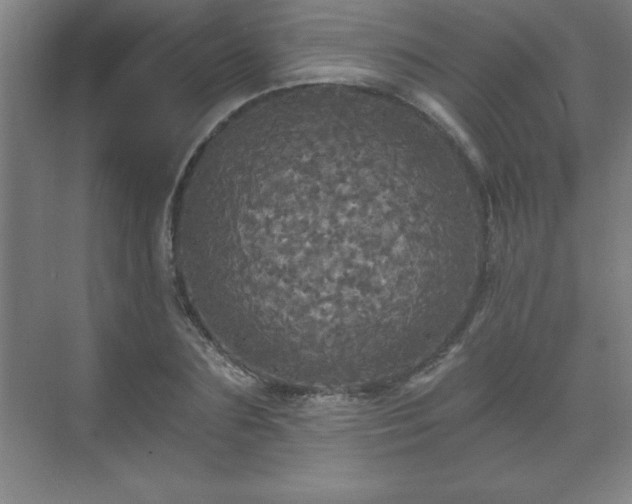 X0000071330883200606301558