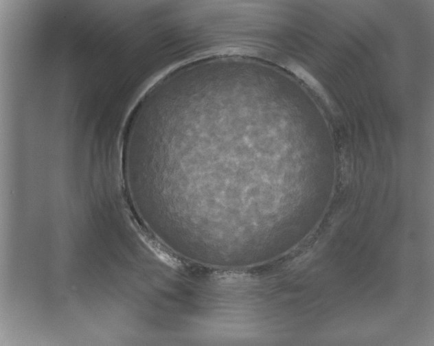 X0000071330886200606301558