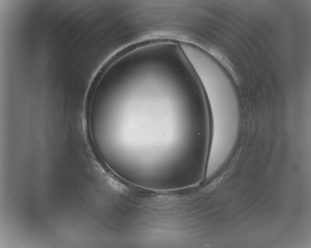 X0000071330888200606301558